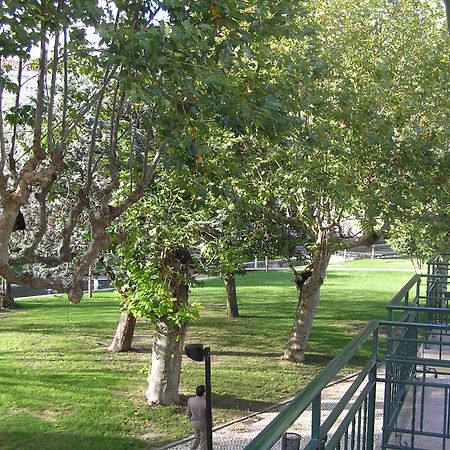 Hotel Covilha Jardim Экстерьер фото